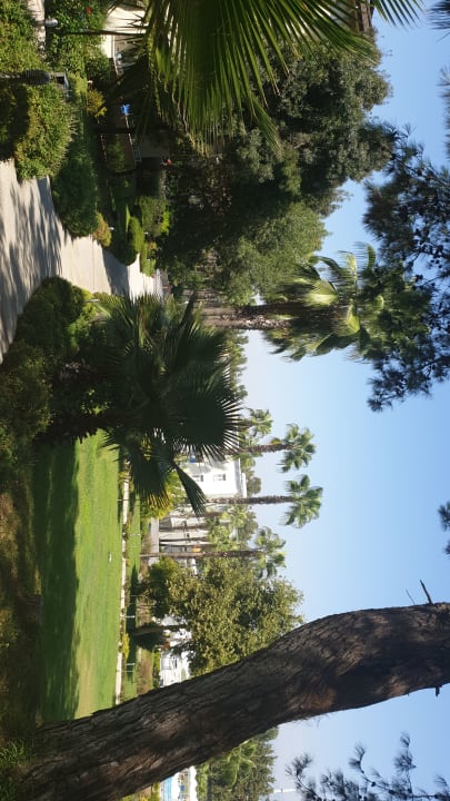 Gartenanlage Club Sidelya Hotel
