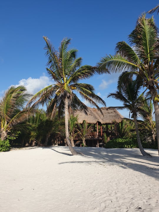 Strand Akumal Bay Beach & Wellness Resort