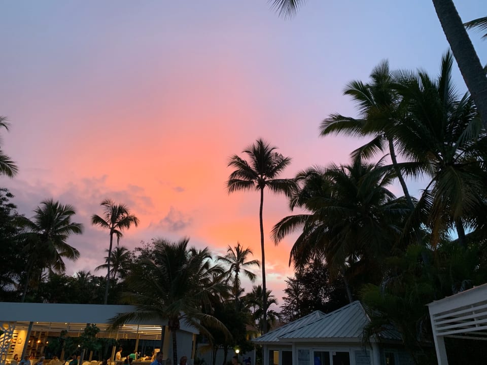 Gartenanlage Wyndham Alltra Samana