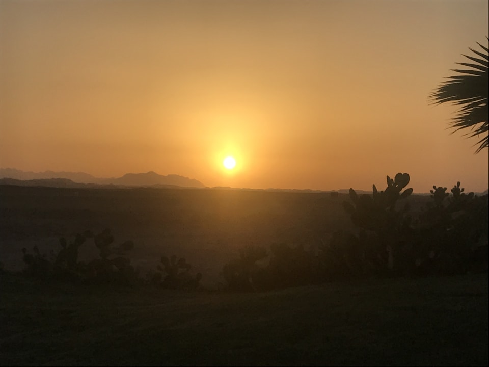 Ausblick Three Corners Sea Beach Resort