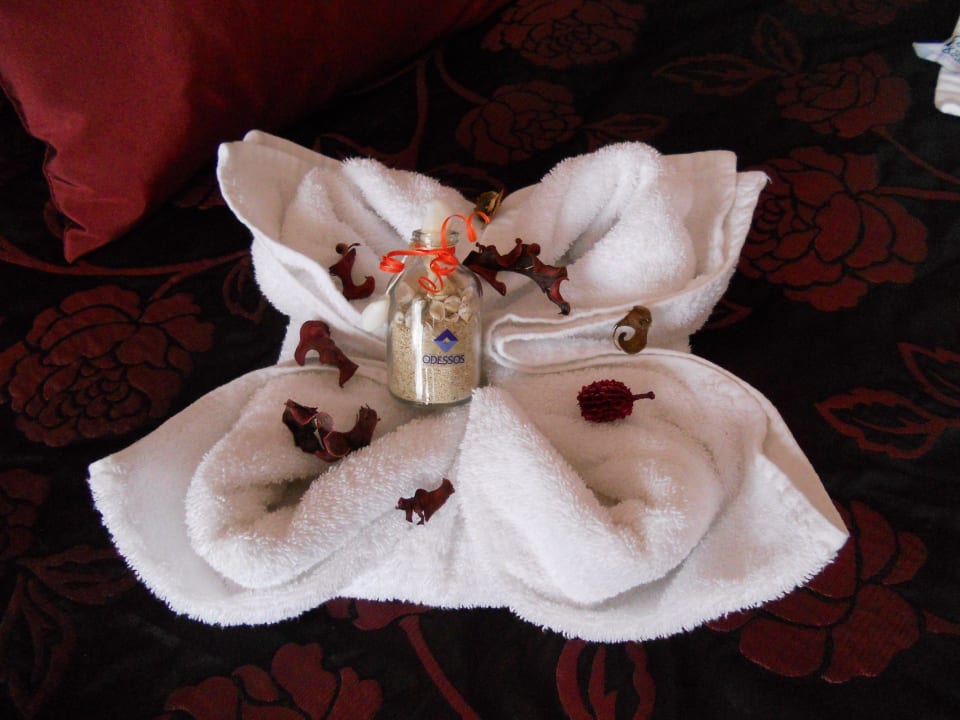 Ueberraschung  Odessos Park Hotel