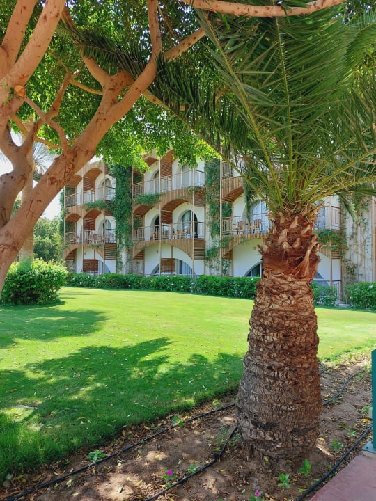 Gartenanlage Desert Rose