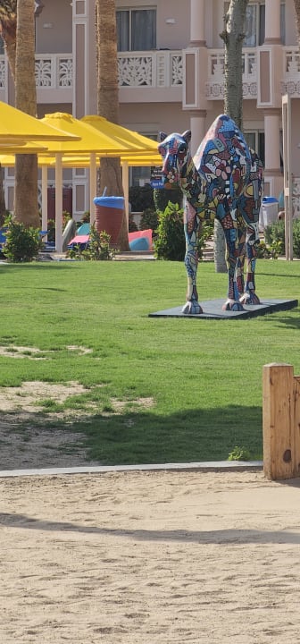 Pool Pickalbatros Palace Resort