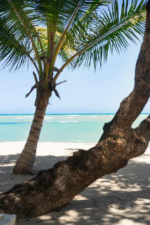 Strand Marien Puerto Plata