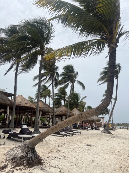 Strand Akumal Bay Beach & Wellness Resort