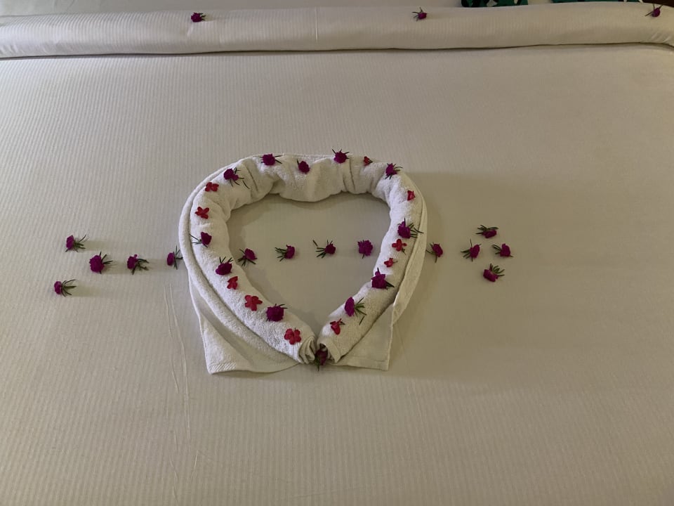 Zimmer Shams Prestige Abu Soma-Adults Only