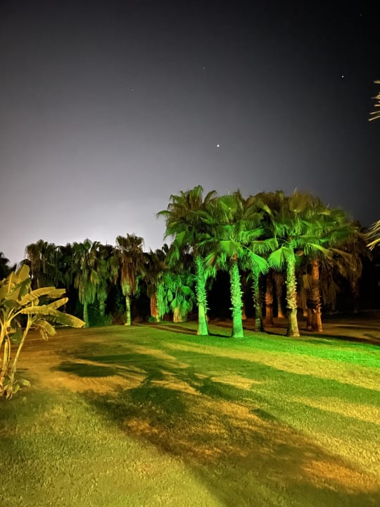 Gartenanlage Hotel Süral Resort