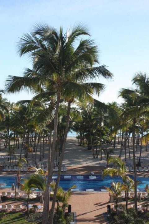 Zimmerausblick auf den Strand Hotel Riu Palace Macao - Adults only