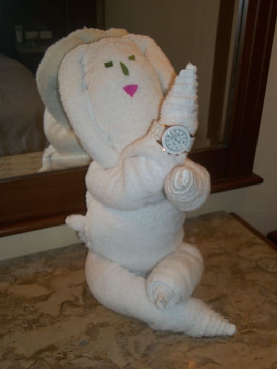 Pokój Charmillion Club Aqua Park