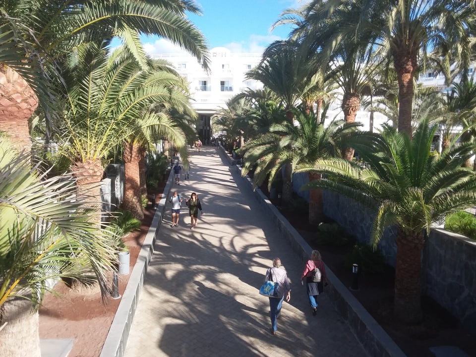 Ausblick Hotel Riu Palace Maspalomas Adults Only