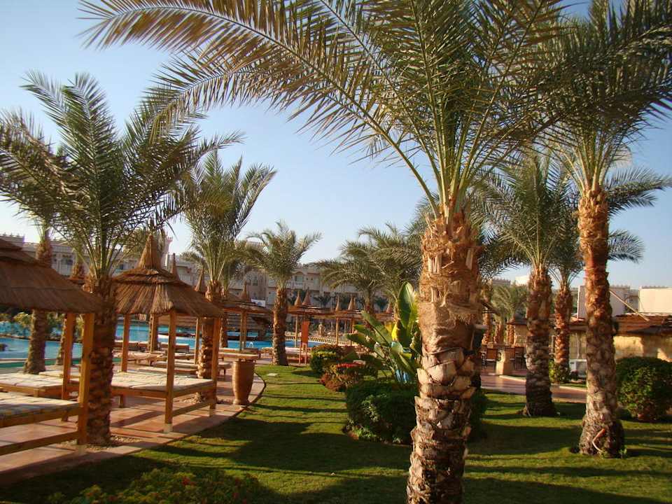 Сад Pickalbatros Palace Resort