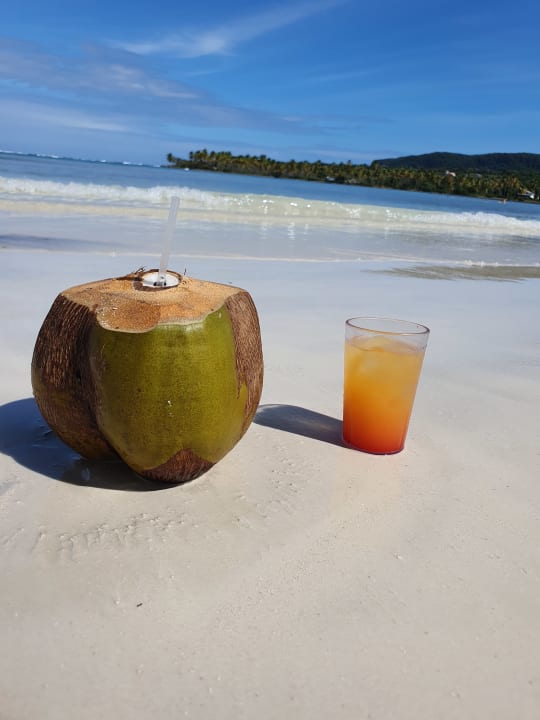 Gastro Wyndham Alltra Samana