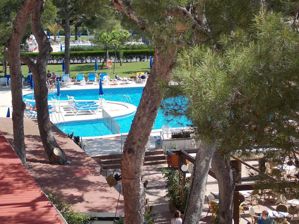 Blick auf den Pool Universal Hotel Laguna