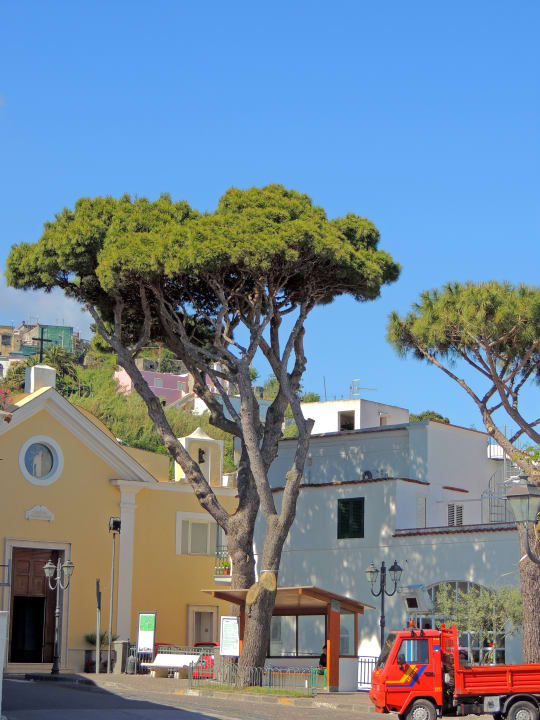 Ausblick Hotel Terme Royal Palm