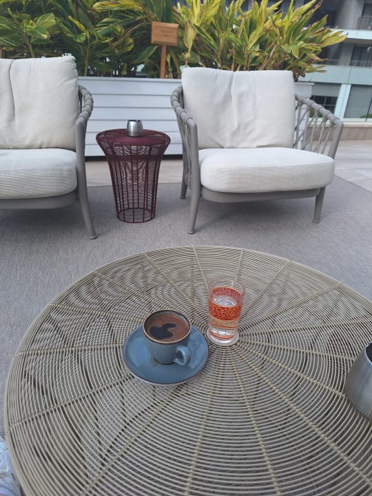 Gastro Acanthus Cennet Barut Collection