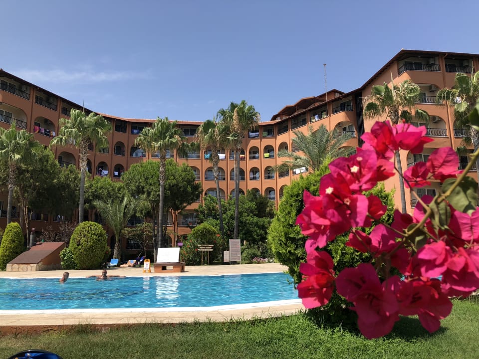 Pool Club Turtas Beach Hotel