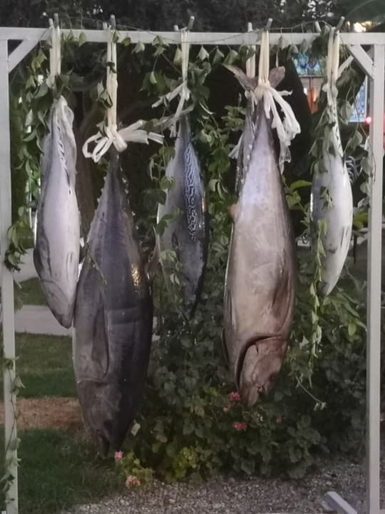 Gastro Grand Seker Hotel