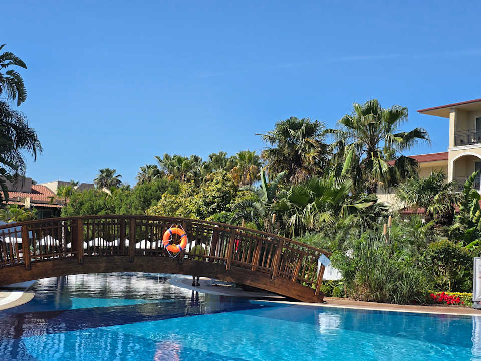 Pool Paloma Oceana