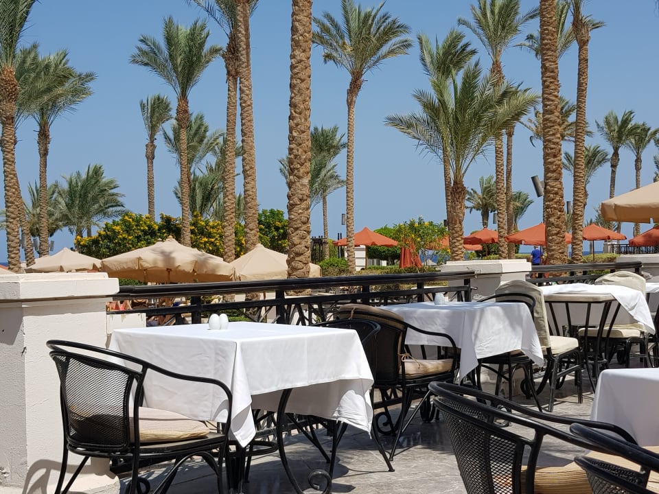 Restaurant Pickalbatros Palace Hotel-Port Ghalib