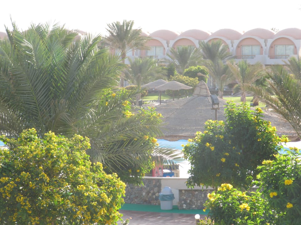 Ogród/hotel Three Corners Sea Beach Resort