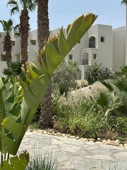 Außenansicht Serry Beach Resort