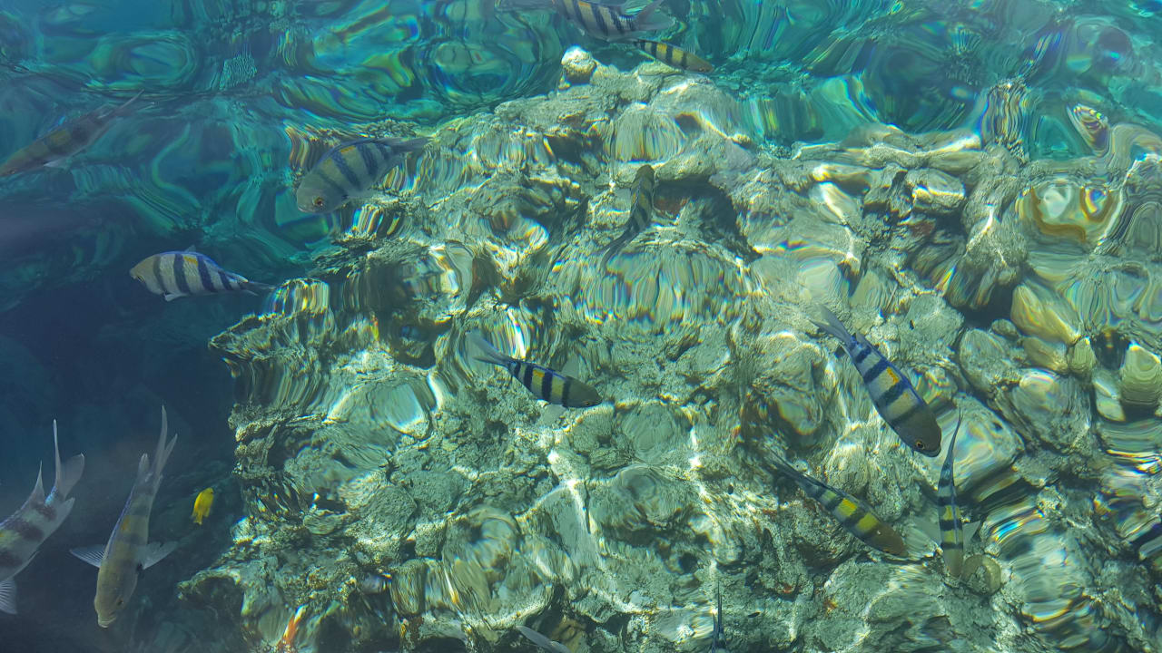 Strand Pickalbatros Aqua Blu Resort - Sharm El Sheikh