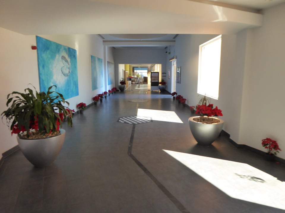 Lobby Novotel Marsa Alam Beach Resort