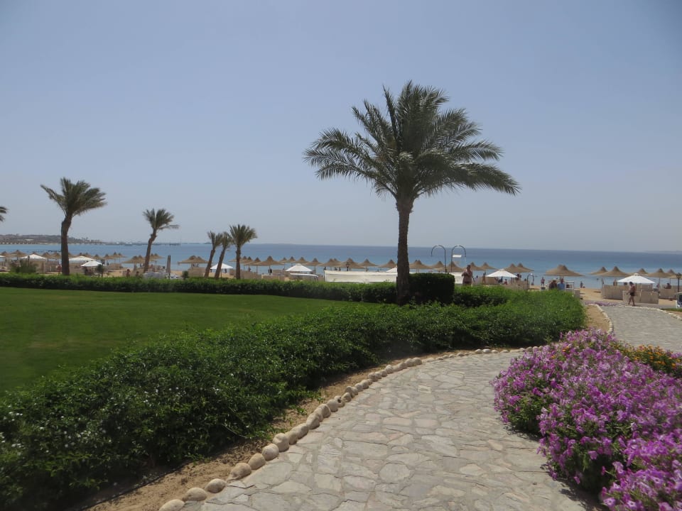 Vom Hotel Blick zum Strand Old Palace Resort Sahl Hasheesh