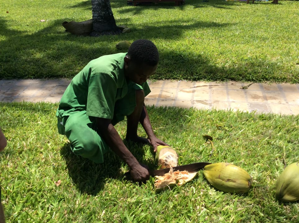 Gastro Neptune Paradise Beach Resort & Spa