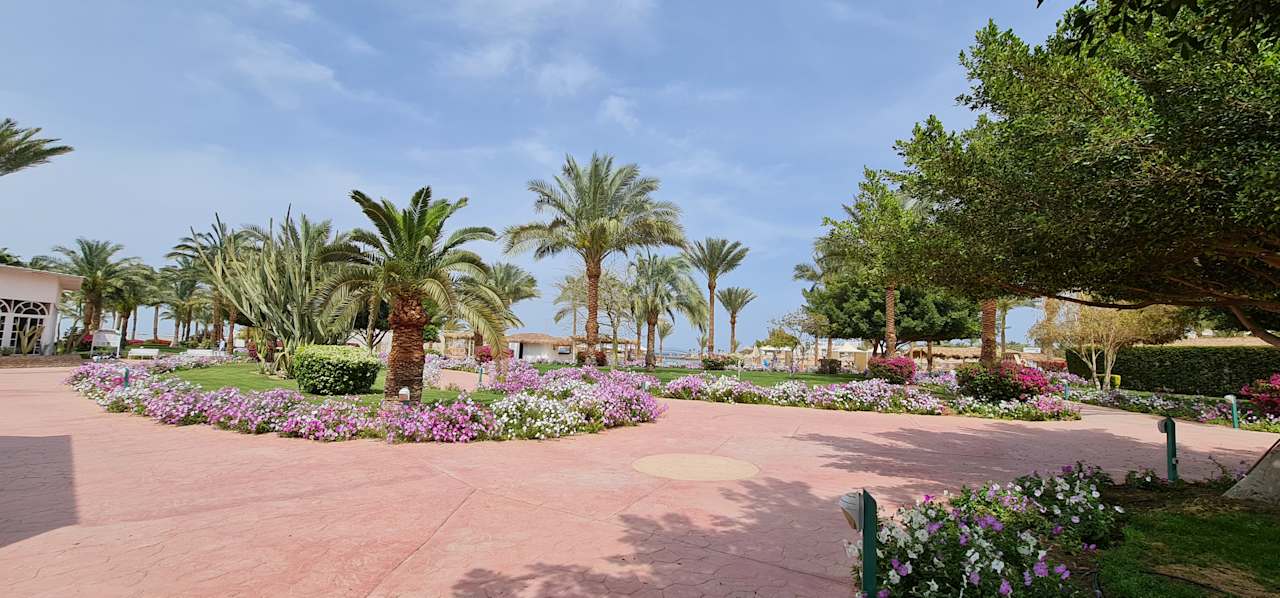 Gartenanlage Desert Rose
