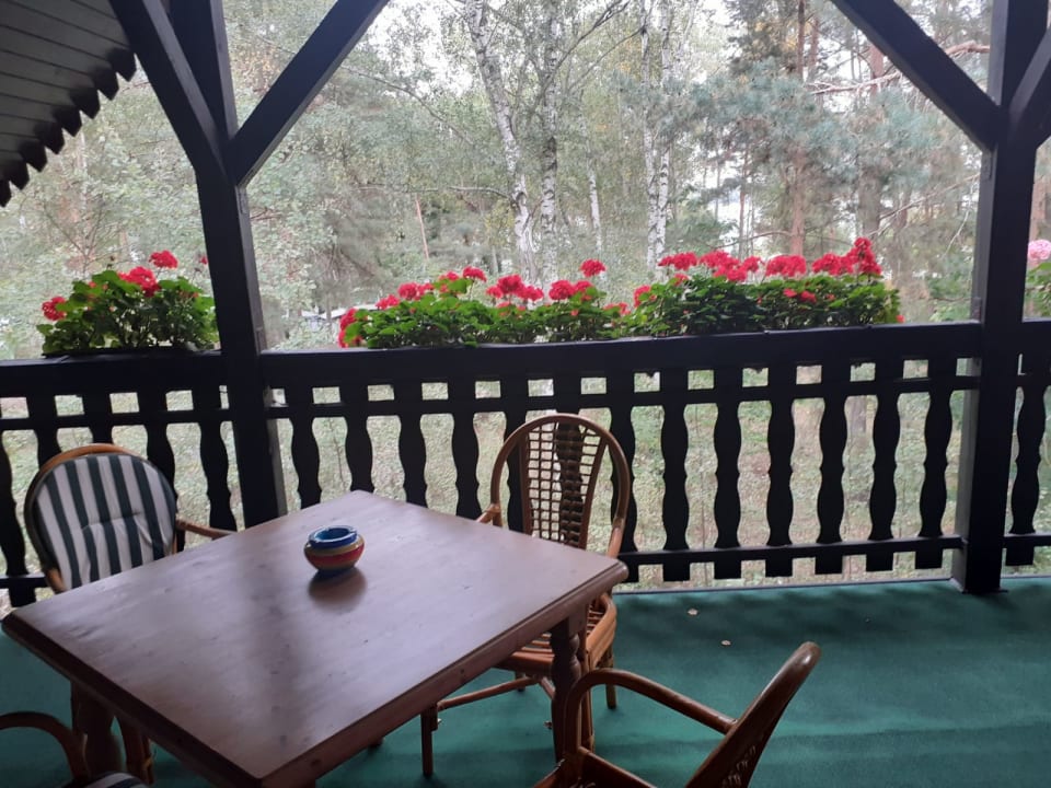 Ausblick Hotel Waldhütte