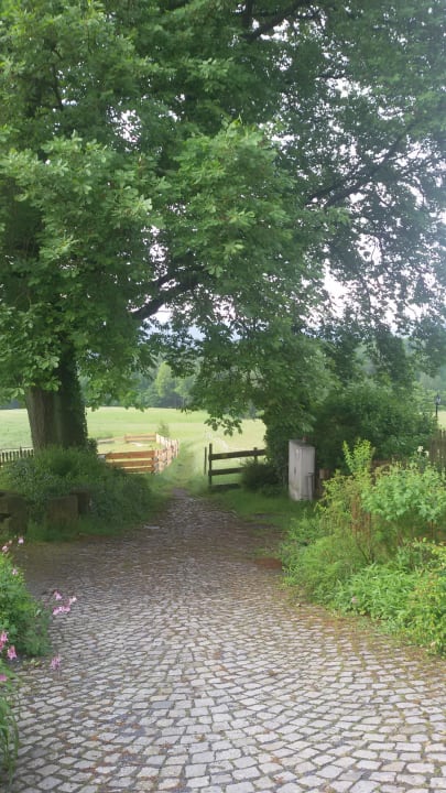 Zum wanderweg Hotel Berghof Lichtenhain