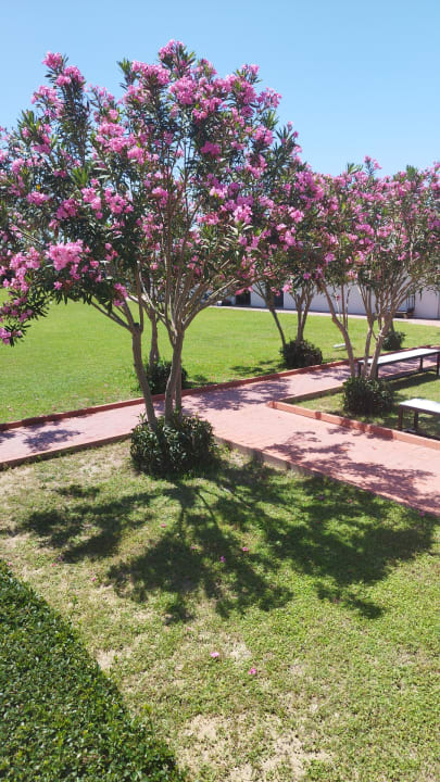 Gartenanlage Seher Kumköy Star Resort & Spa