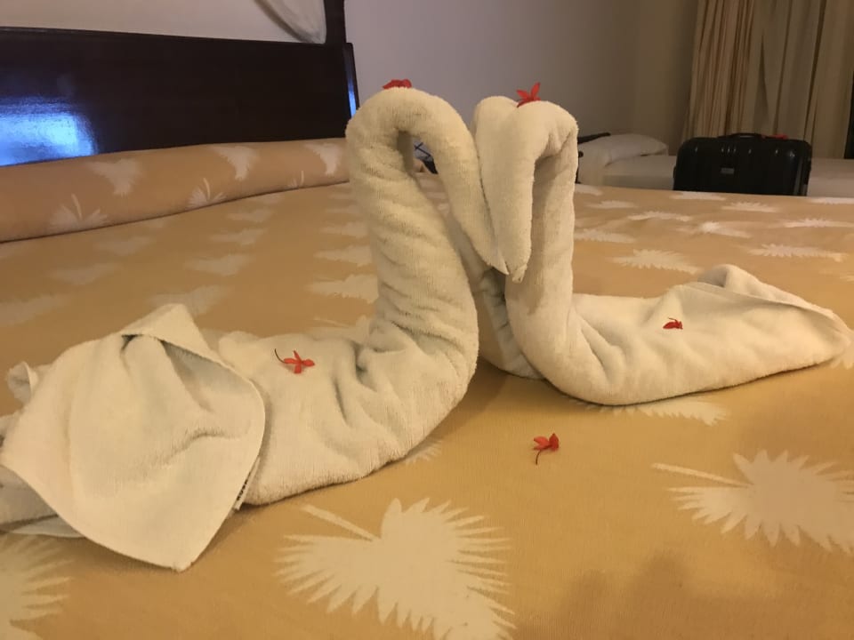 Zimmer Melia Las Dunas