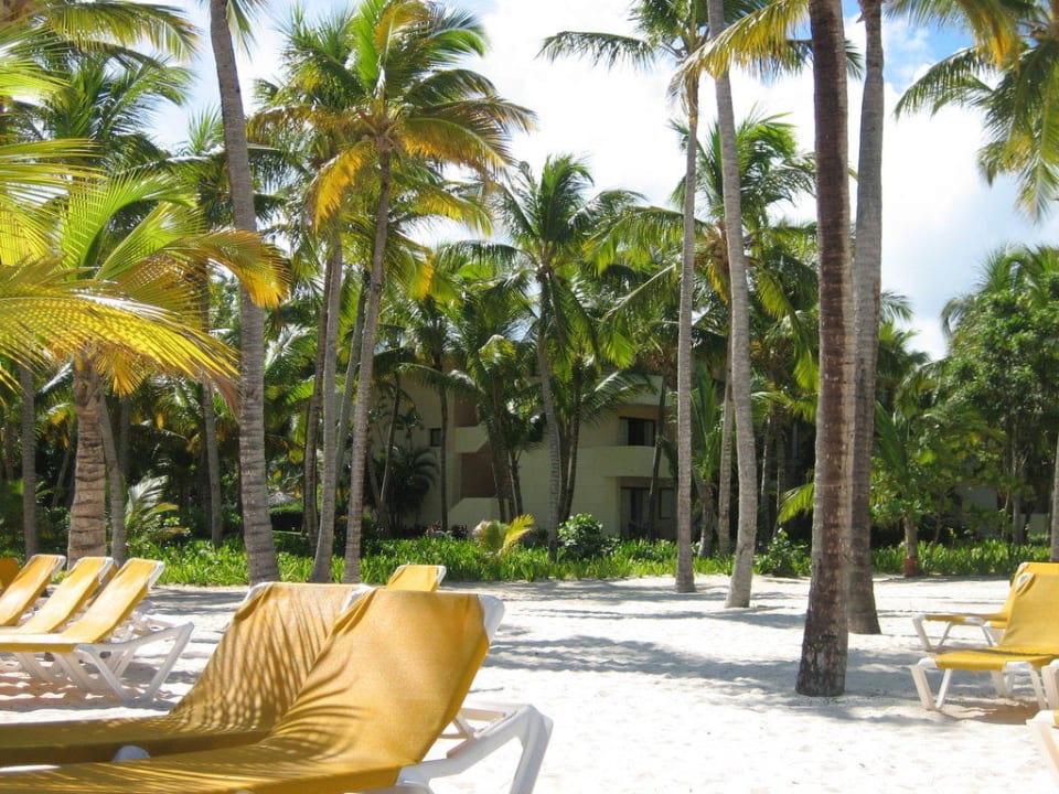 Strand im Catalonia Bavaro Catalonia Punta Cana - All Inclusive