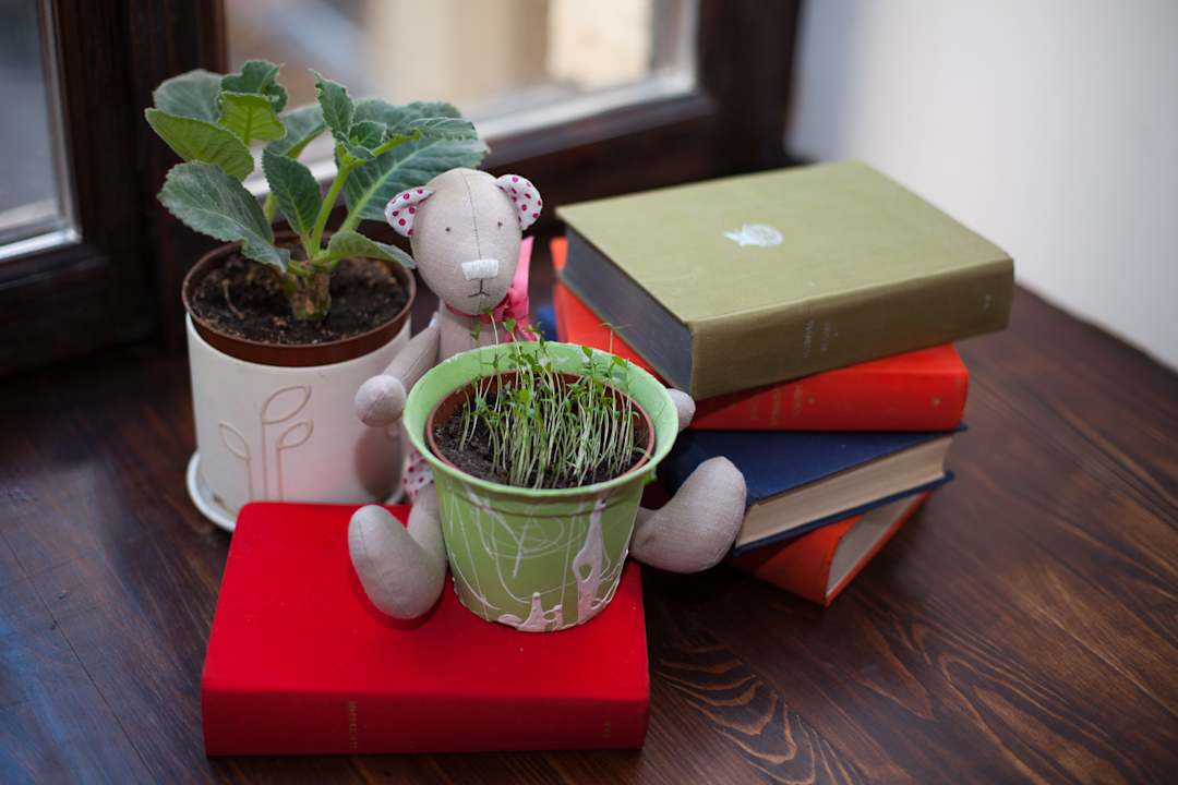 Zimmer ТАЙГА Hostel & Hotel