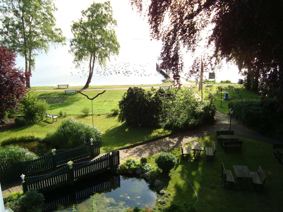 Schöner Blick zum See Hotel Zur Mühle Am See