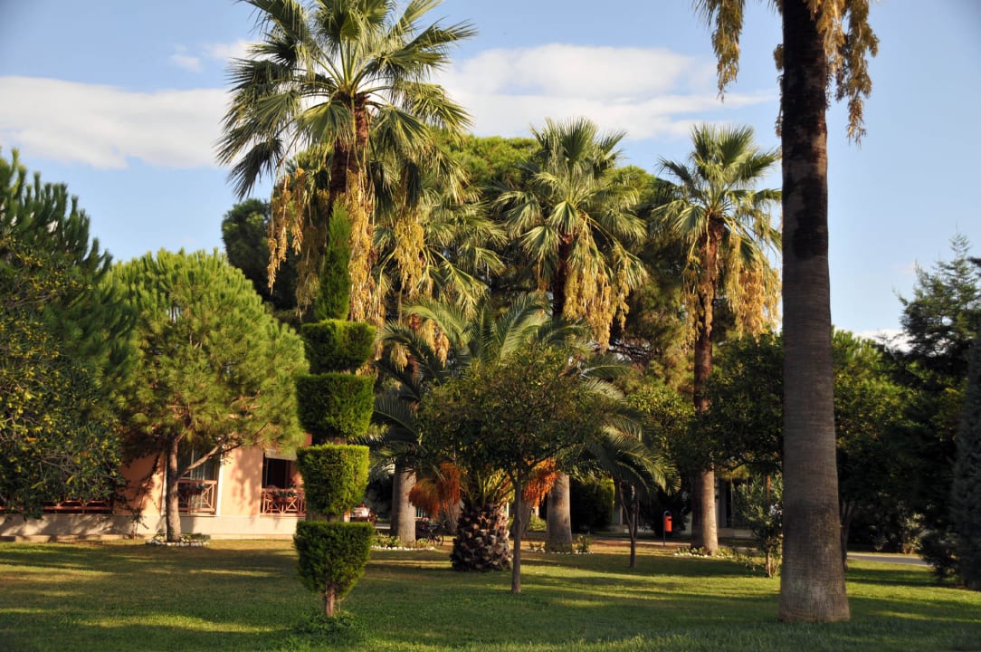 Traumhafter Garten Kustur Club Holiday Village