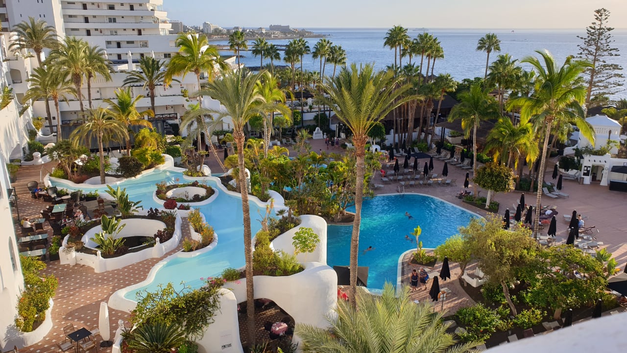 Pool Dreams Jardín Tropical