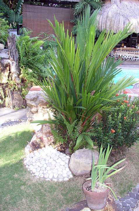 Garten Hotel El Dorado Beach Resort