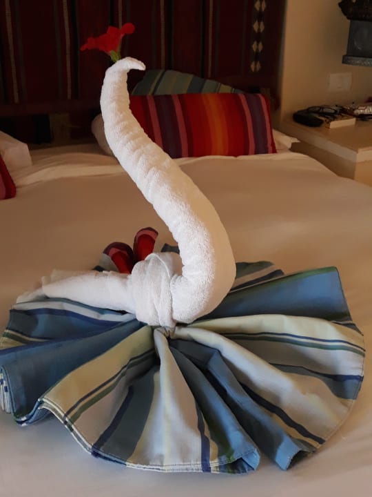 Zimmer Pickalbatros Sands Hotel - Port Ghalib