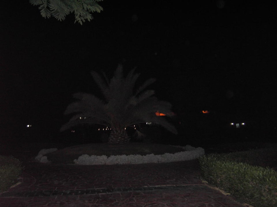 Foto Pickalbatros Dana Beach Resort - Hurghada