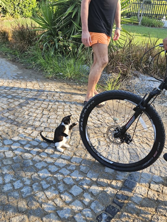Sport & Freizeit Hotel Defne Dream