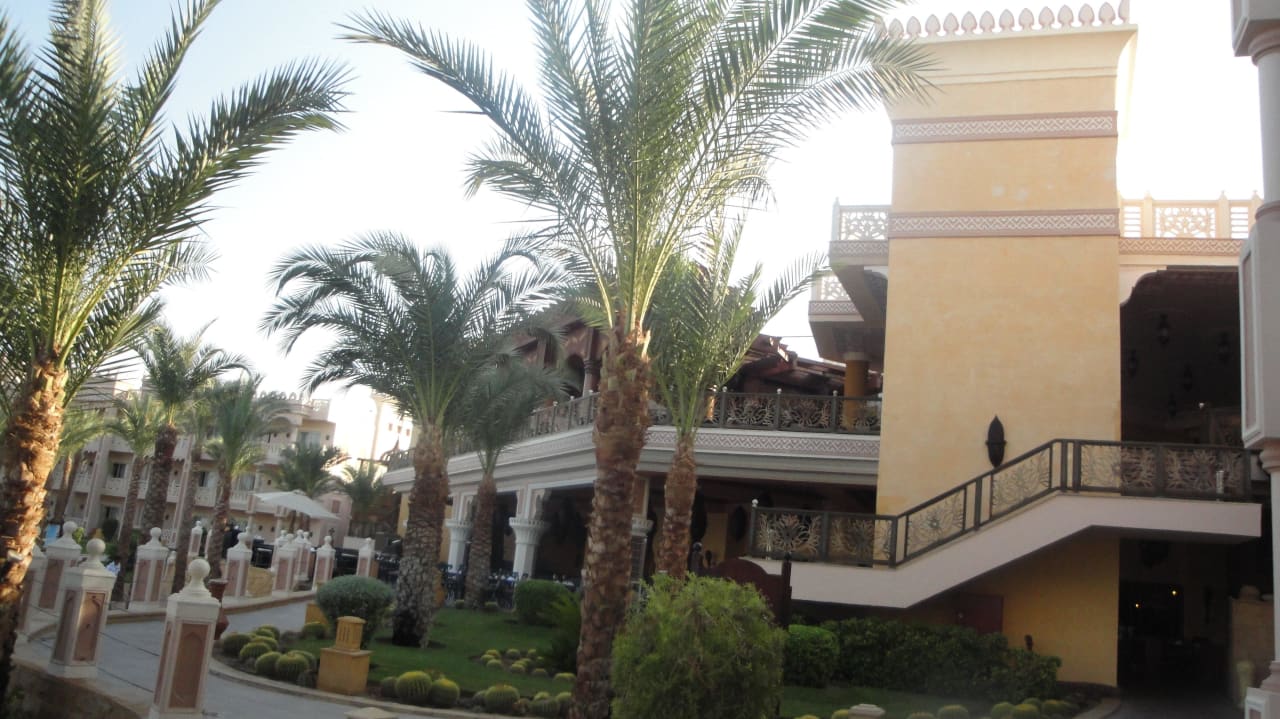Одна из аллей отеля. Beach Albatros Resort