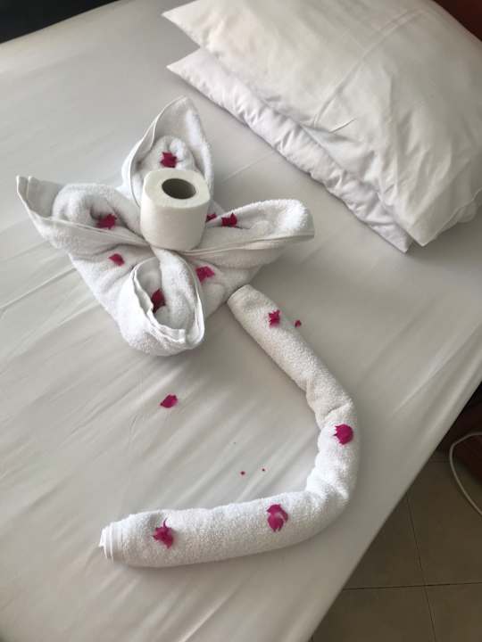 Zimmer Titanic Beach Spa & Aqua Park