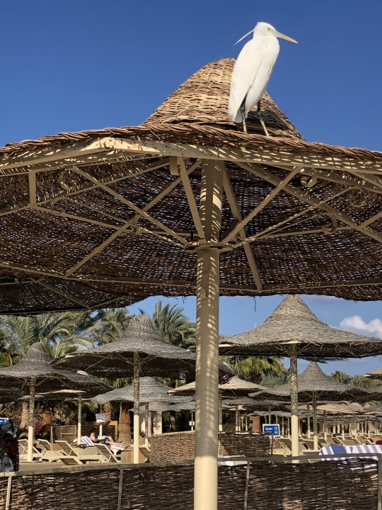 Strand Brayka Bay Resort