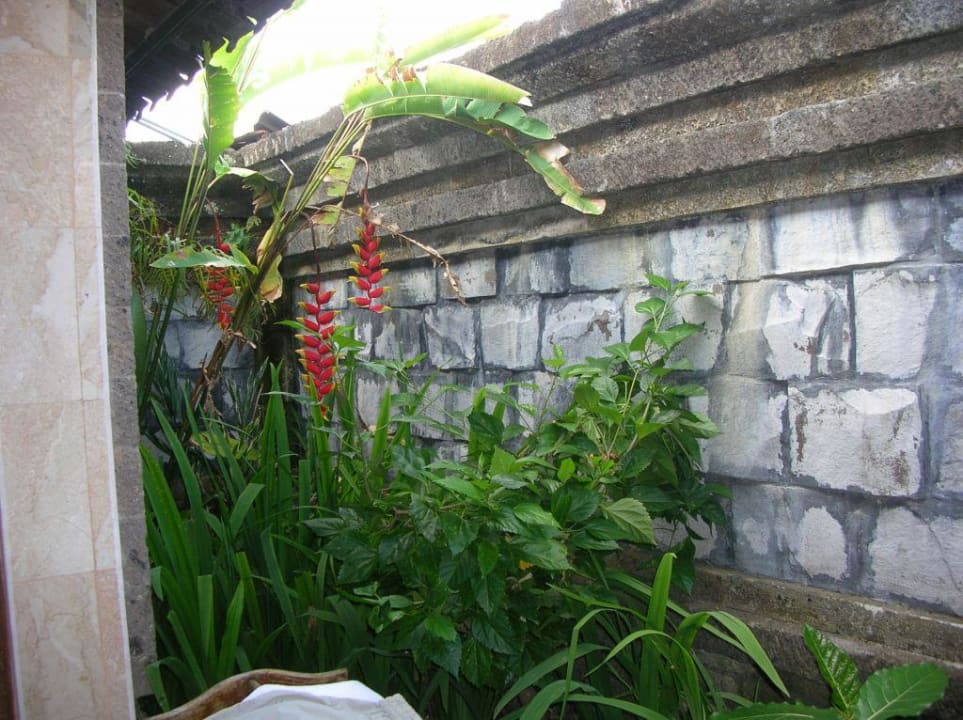 Hotel Ubud Village Ubud Village Hotel