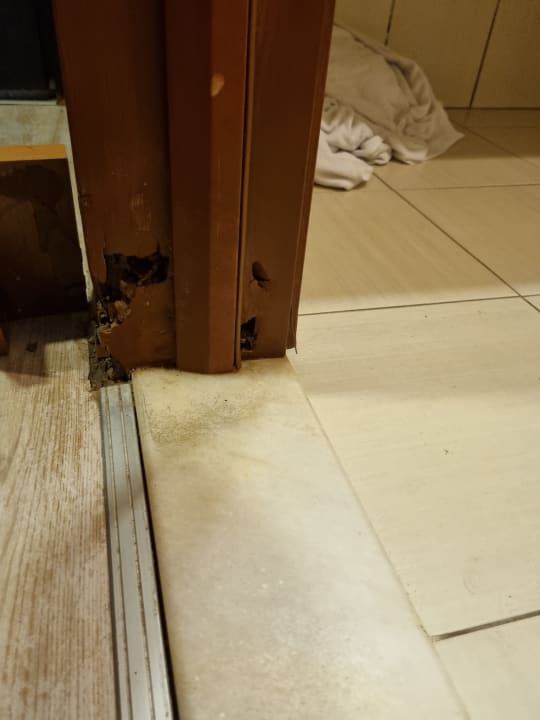 Zimmer Asteria Family Belek