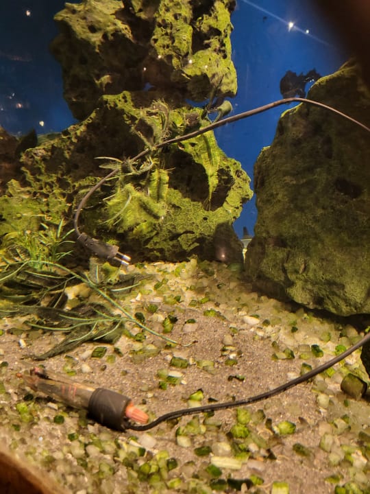 Sonstiges Hotel Caves Beach Resort (Adults Only)