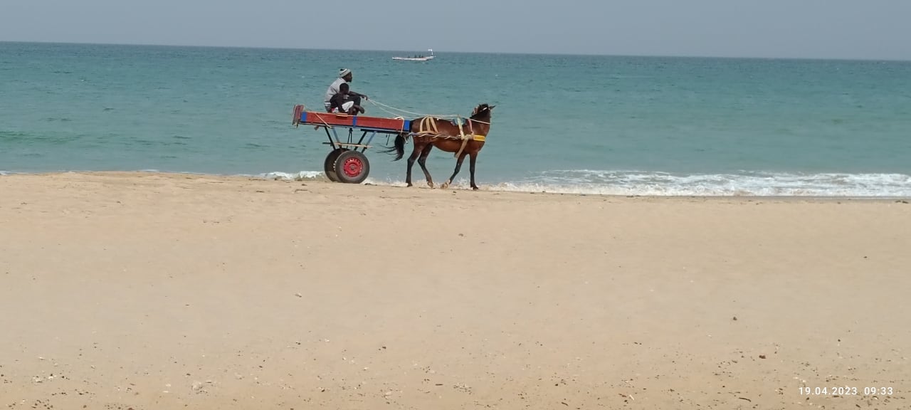 Strand Hotel Riu Baobab - All Inclusive